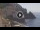 Webcam in Amalfi, 11.2 km entfernt