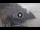 Webcam in Amalfi, 0.6 km entfernt