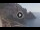 Webcam in Amalfi, 0.1 km entfernt