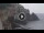 Webcam in Amalfi, 3.7 mi away