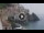 Webcam in Amalfi, 35.3 km