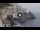 Webcam in Amalfi, 7.8 mi away