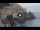 Webcam in Amalfi, 0.7 km