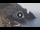 Webcam in Amalfi, 3.7 mi away