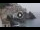 Webcam in Amalfi, 0.1 km entfernt