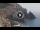 Webcam in Amalfi, 3.7 mi away