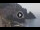 Webcam in Amalfi, 4.5 mi away