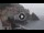 Webcam in Amalfi, 0 mi away