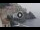 Webcam in Amalfi, 9.5 km