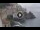 Webcam in Amalfi, 3.7 mi away