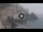 Webcam in Amalfi, 0.2 mi away
