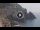 Webcam in Amalfi, 0.6 km entfernt