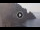Webcam in Amalfi, 9.5 km entfernt