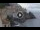 Webcam in Amalfi, 14.5 km