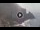 Webcam in Amalfi, 0.6 km