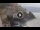 Webcam in Amalfi, 20.1 km