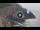 Webcam in Amalfi, 0.7 km entfernt
