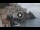 Webcam in Amalfi, 2.4 mi away