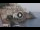 Webcam in Amalfi, 3.7 mi away