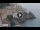 Webcam in Amalfi, 3.7 mi away
