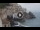 Webcam in Amalfi, 7.1 mi away