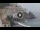 Webcam in Amalfi, 2 km