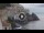 Webcam in Amalfi, 0 mi away
