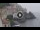 Webcam in Amalfi, 0.3 mi away