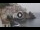 Webcam in Amalfi, 4.5 mi away