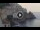 Webcam in Amalfi, 3.7 mi away