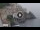 Webcam in Amalfi, 3.7 mi away