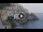 Webcam in Amalfi, 0 mi away