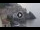 Webcam in Amalfi, 7.8 mi away