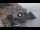 Webcam in Amalfi, 0.8 km entfernt