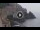 Webcam in Amalfi, 3.7 mi away
