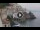 Webcam in Amalfi, 0.2 mi away