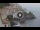 Webcam in Amalfi, 7.8 mi away