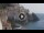 Webcam in Amalfi, 19.9 km