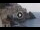 Webcam in Amalfi, 20.1 km entfernt