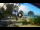 Webcam in Kiwengwa (Zanzibar), 390.7 km