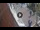 Webcam in Hereford, 26.1 mi away