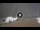 Webcam in Hereford, 42.9 mi away