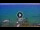 Webcam in La Zenia, 9.2 km entfernt