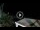 Webcam in Almuñécar, 10.9 mi away