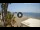 Webcam in Almuñécar, 37.1 km