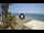 Webcam in Almuñécar, 50.5 km