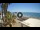 Webcam in Almuñécar, 37.1 km