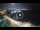Webcam in La Caleta (Tenerife), 14.2 km