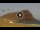 Webcam in El Medano (Teneriffa), 8.7 km entfernt