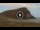 Webcam in El Medano (Tenerife), 1.4 mi away